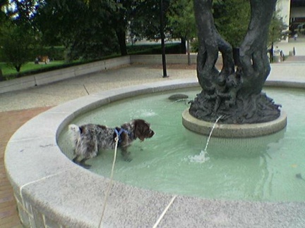 At BC in the fountain