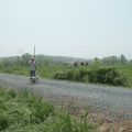 PICT0959_gamma