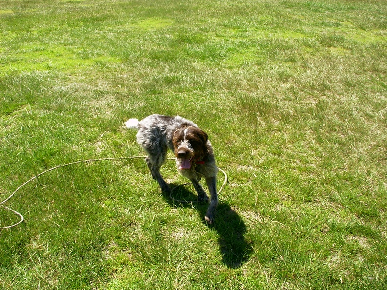 IMAG0001_001.jpg
