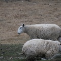 PICT0010.JPG