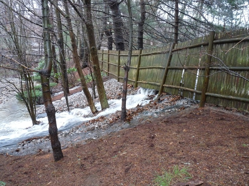 P1010131.JPG
