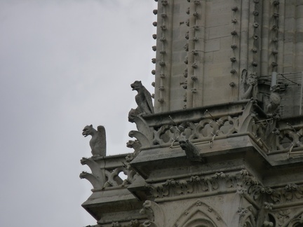 P1010649