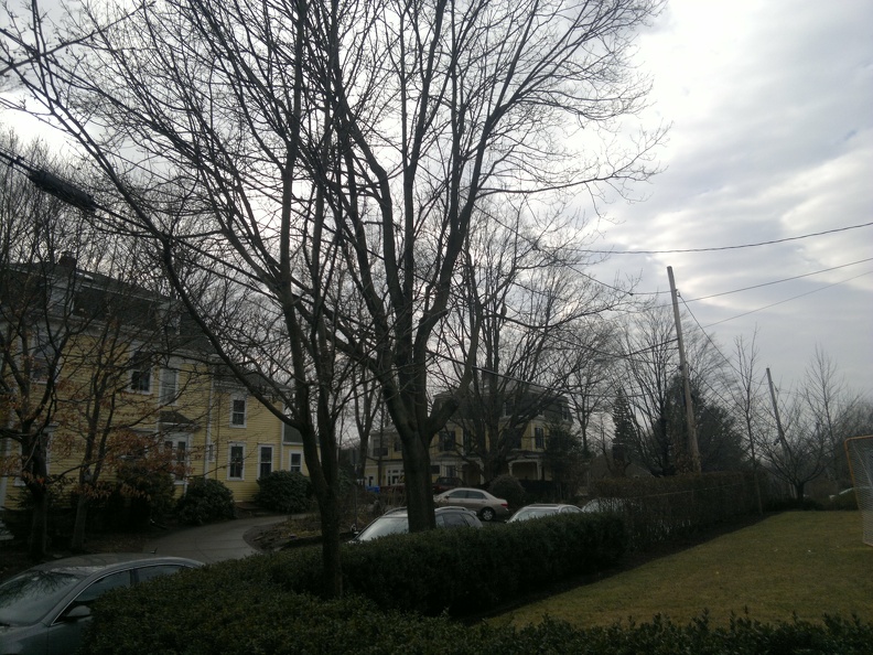 2012-02-11-003.jpg