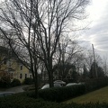 2012-02-11-003