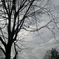 2012-02-11-005
