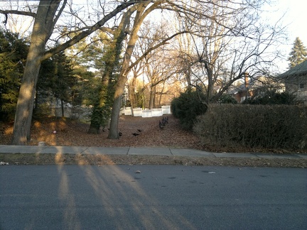 2012-02-13-019