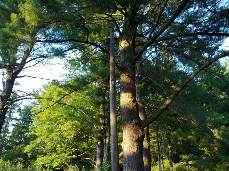 07052012030.jpg
