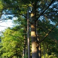 07052012030