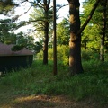 07052012031