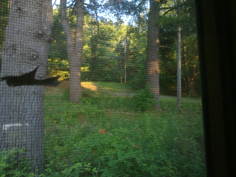 07052012038.jpg
