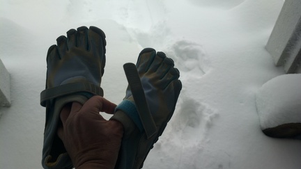2013-02-09-0142.jpg