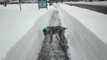 2013-02-09-0155.jpg