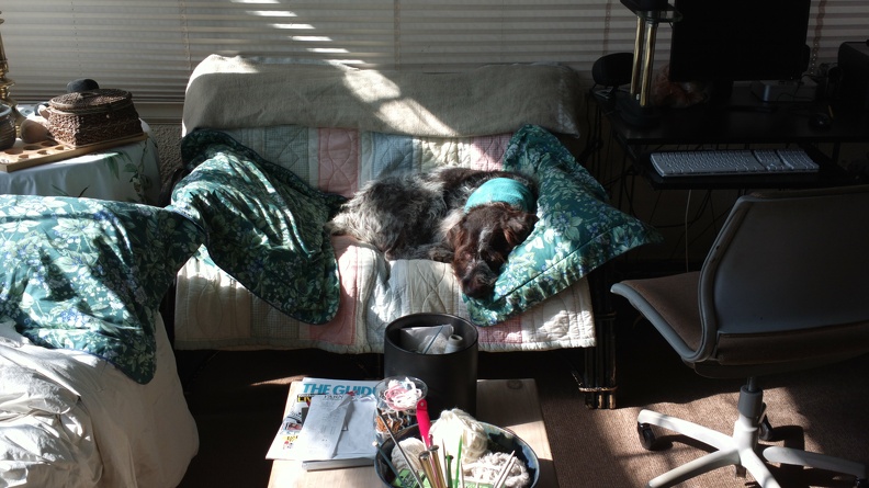 2013-02-21-0232.jpg