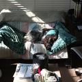 2013-02-21-0232.jpg