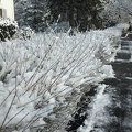 2013-02-25-0240.jpg