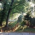 2014-10-12-3139