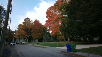 2014-10-17-3167