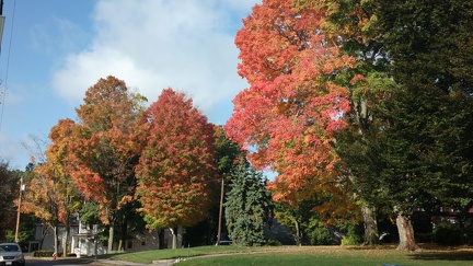2014-10-17-3168