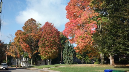 2014-10-17-3169