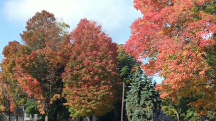 2014-10-17-3170