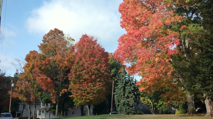 2014-10-17-3171