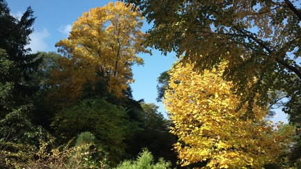 2014-10-17-3172