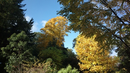 2014-10-17-3173