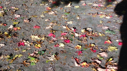 2014-10-20-3185