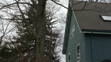 2018-01-29-9355