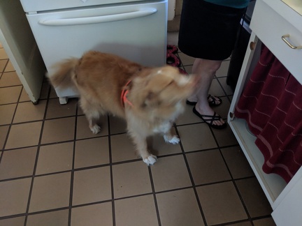 IMG 20180707 081400