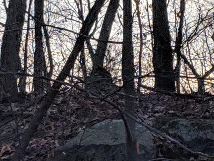 IMG 20190210 070504