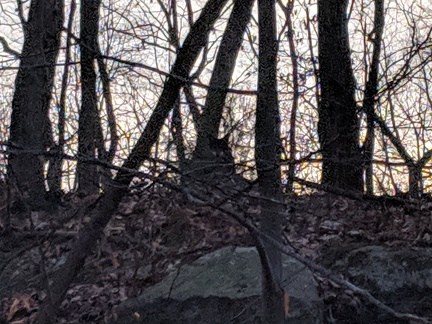 IMG 20190210 070506