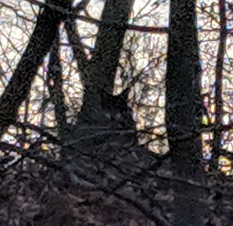 IMG 20190210 070506 2