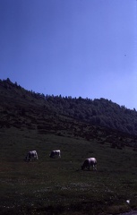 Jun81 2400 48bit Kod064 slide03 Col Aspin