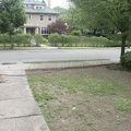 New Hedge! PICT0963-gamma.jpg