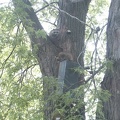 PICT0982.jpg