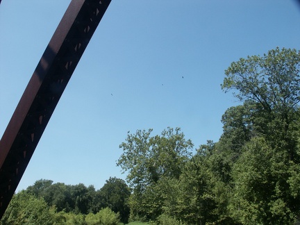 Note circling hawks. There was also a blue heron in the creek here.