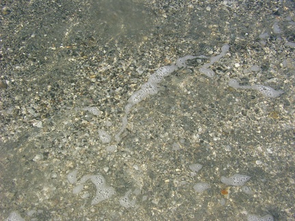 aas