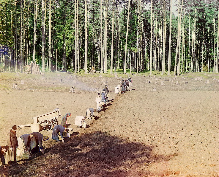 04443v_Mmonks_at_work_planting_potatoes_Gethsemene_monastery.jpg