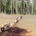 04443v_Mmonks_at_work_planting_potatoes_Gethsemene_monastery