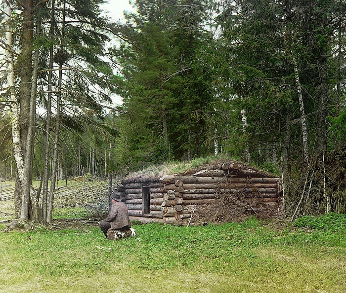 04654v_Forest_hut.jpg