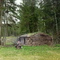 04654v_Forest_hut