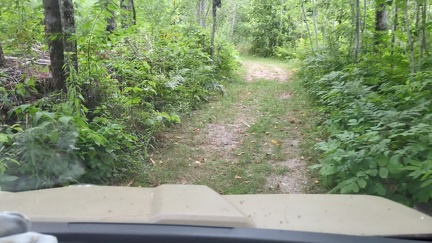 PXL 20250812 190235981