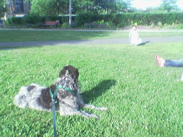 Image_021_.jpg